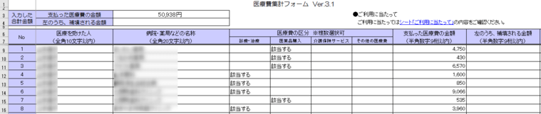 医療費集計フォーム